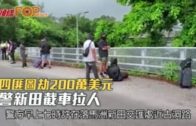 四匪圖劫200萬美元  警新田截車拉人