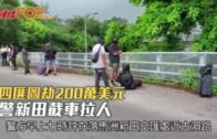 四匪圖劫200萬美元  警新田截車拉人