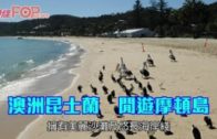 半山干德道裝修中單位疑短路冒黑煙 大批住戶疏散消防救熄