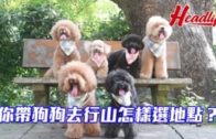 補充勞工優化計劃招聘會今起一連3天舉行  求職者願跨區工作:最緊要搵到工