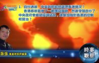 外勞司機｜運輸署輸入內地車長為紓緩人手短缺 司機若「秘撈」將取消工作資格