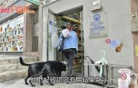 確診者愛犬反覆驗出弱陽性  漁護署：低程度感染