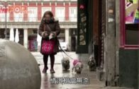 炒至天價醫護缺口罩  西班牙衛生部長心酸淚崩