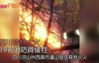 四川森林大火  19名消防員犠牲