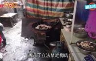 深圳市立法全面禁吃貓狗  下月1日起生效