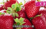【8月7日 親子Daily】  水果幾時食最好?