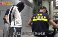 海關檢380萬元大麻花 拘16歲中五男學生