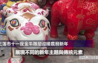 （國）三藩市十一座金牛雕塑迎接農曆新年