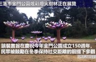 三藩市金門公園炫彩燈火樹林正在展覽