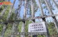 擬有限度開放主教山配水庫 水務署：將進行加固工程