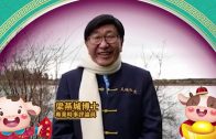 黃雨｜元朗天后古廟木棉飛絮現「漫天冰雹」奇景 檔販:風雨大到帳篷都爛咗3個