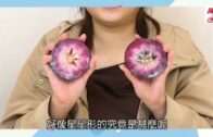 JetsoApp Shop 獨家網購優惠 台灣水果低至$290