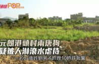 元朗港頭村兩唐狗 疑被人淋滾水虐待