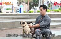 型男Catry攜愛犬 赤柱廣場星空打卡遊