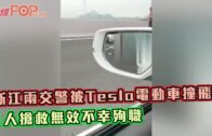 浙江兩交警被Tesla電動車撞飛 1人搶救無效不幸殉職