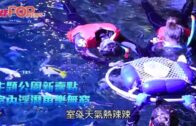 補充勞工優化計劃招聘會今起一連3天舉行  求職者願跨區工作:最緊要搵到工