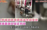 小野豬搭港鐵過海識坐關愛座 漁護署派員捉走野放