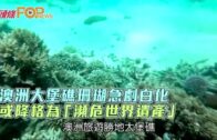 澳洲大堡礁珊瑚急劇白化 或降格為「瀕危世界遺產」