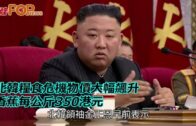 北韓糧食危機物價大幅飆升 香蕉每公斤350港元