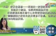 外勞司機｜運輸署輸入內地車長為紓緩人手短缺 司機若「秘撈」將取消工作資格