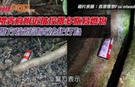 青馬大橋工人爬欄杆維修 途人誤當跳橋惹虛驚