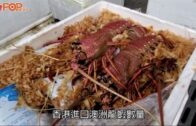 海關關長｜龍蝦涉國安惹爭議  何珮珊稱食安本屬國安重要一環