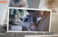 Juno愛貓離世|撰長文悼20歲愛貓彼此回憶永生不滅