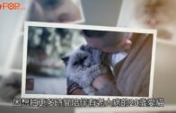 旅發局5.1舉行海上煙火匯演 配合「幻彩詠香江」展「HK」字樣笑臉圖案