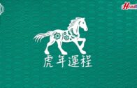 虎年運程2022｜雲文子12生肖運程 屬馬事業運篇 宜事事親力親為