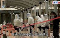 九龍灣啟業邨塌樹 印傭公園乘涼被擊中一度昏迷