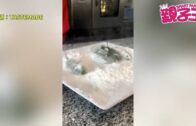 深圳灣口岸︱北上男手揞肛門露餡 揭體內藏大麻電子煙