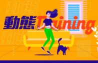 Charlie Kirk遭槍殺｜美政壇最具影響力保守派新星 推動年輕選民撐特朗普