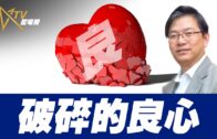 地監局出招 推強制代理進修 最快明年首季實施 針對「新牌仔」望提升質素