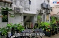 半山干德道裝修中單位疑短路冒黑煙 大批住戶疏散消防救熄