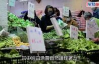 疫情消息｜內地供港蔬菜與平日相若 鮮活食品供應穩定