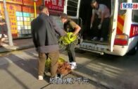 銅線被盜案｜大角嘴地盤銅線盜竊案 警拘37歲越南漢