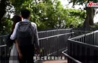 活化古建築｜薄鳧林牧場 變打卡勝景