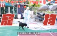 單車節2025｜11.30舉行 明早10點開始報名 共開放6000名額 首設「世界大學盃」