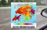 黃雨生效｜元朗公路水浸如河流 往屯門方向擠塞