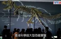 何伯承認向女途人噴殺蟲水 求情稱已跟何太「分開」現居老人院 10月21日判刑