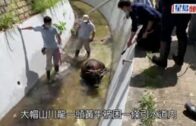 Charlie Kirk遭槍殺｜FBI發布槍手逃跑影片 屋頂行兇後跳下