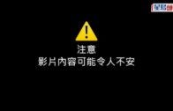 電梯恐怖意外｜狗先入電梯門突關上  外傭遭狗繩扯飛撞頭摔落地