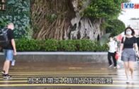 特朗普開啟新一輪關稅戰！稀土成中國「卡脖子」王牌？ | 中美經濟戰再升級！誰才是真正的主導者？｜多嘴聯盟