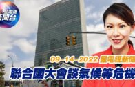 星電視新聞 粵語 9-14-2022