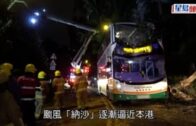 風球納沙｜山頂道塌樹壓毀巴士車頭    至少7人受傷