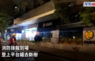 尼格風球｜香港仔西灣河有塌樹阻路擱民居  消防鋸樹解困