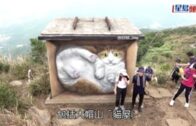 「貓屋」被毀 「光環貓」遭覆蓋 俄羅斯塗鴉藝術家Vladimir「第三貓」馬灣出世