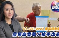 星電視新聞 粵語 01-25-2023