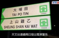 霜凍警告持續 打鼓嶺清晨錄得1.9°C 車輛結霜「大銀幕」鋪滿冰晶下