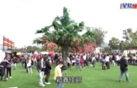 林村許願樹︱復辦即熱爆 外國遊客 : 寶牒拋起來比想像中困難